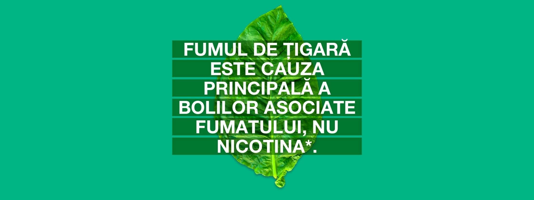 Fumul Sau Nicotina Img2