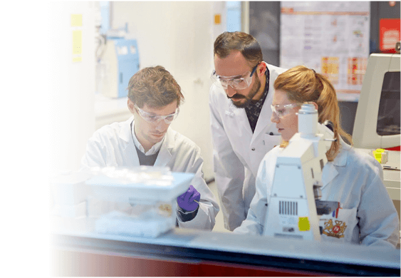 Cum Pot Produsele Fara Fum Sa Schimbe Viitorul M 1058 55