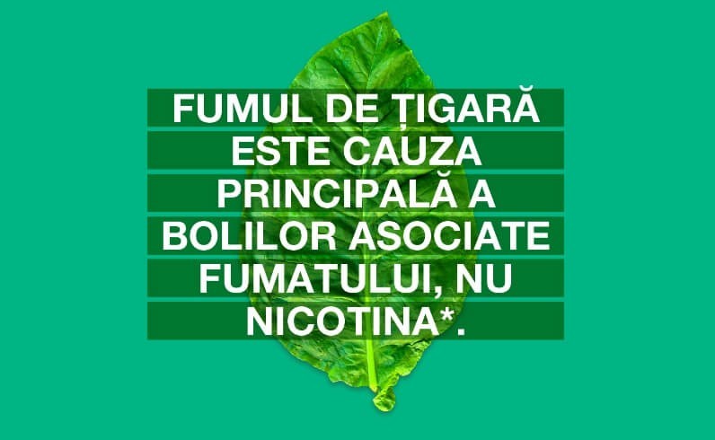 Fumul Sau Nicotina Img2 Mobile 1